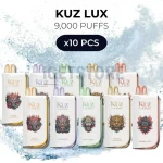 10 PCS - KUZ LUX 9000 Puffs