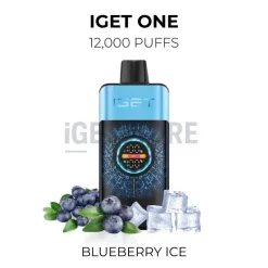iget one 12000 puffs blueberry ice